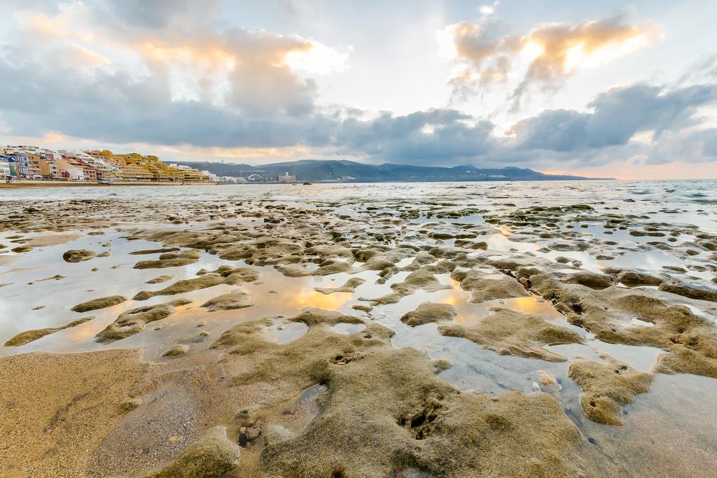 Crisol Faycan Las Palmas de Gran Canaria Dış mekan fotoğraf